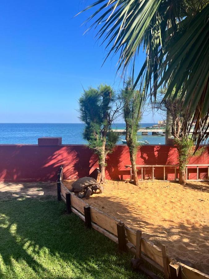 Chez Olivier - Chambre vue mer Gorée Extérieur photo